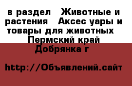  в раздел : Животные и растения » Аксесcуары и товары для животных . Пермский край,Добрянка г.